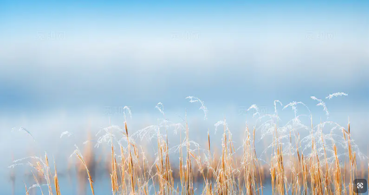 幻灯片-启点云网创